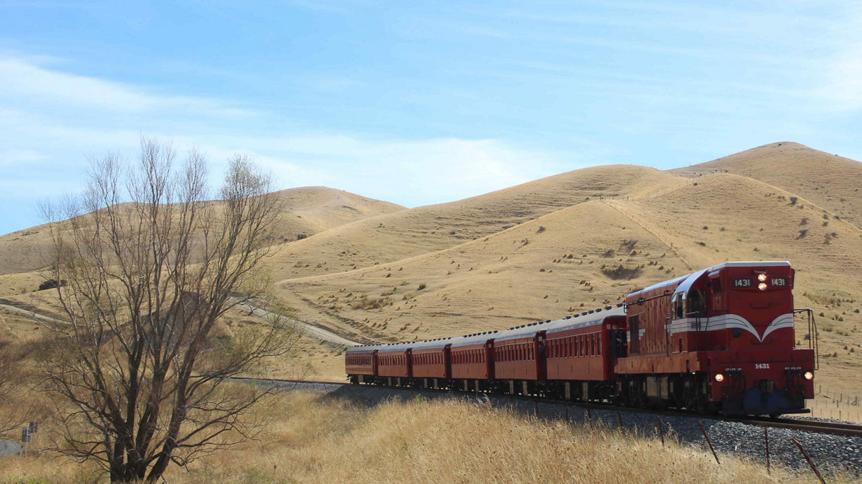 Ultimate Picton: Marlborough Flyer Train Tour