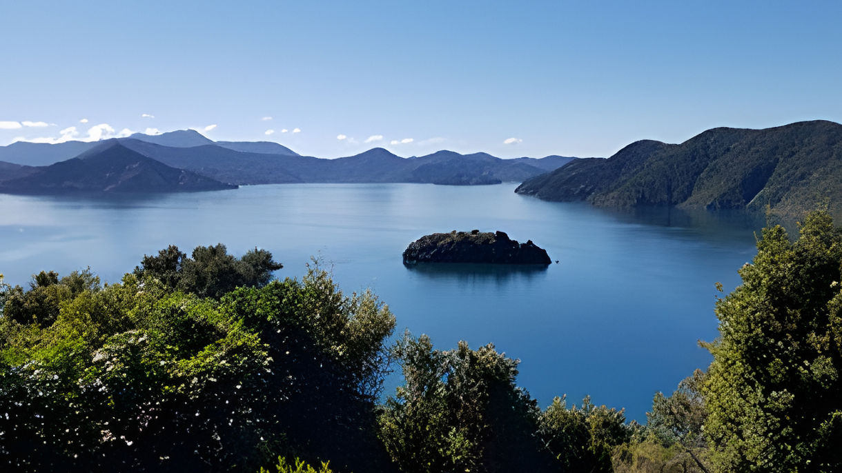 Best of Picton: Scenic Cruising on Queen Charlotte Sounds