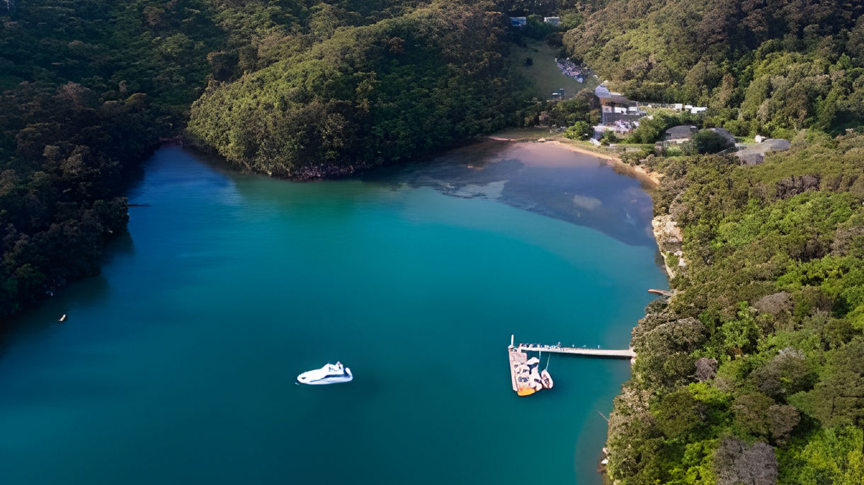 Scenic Sounds Cruise & Mistletoe Bay Walk