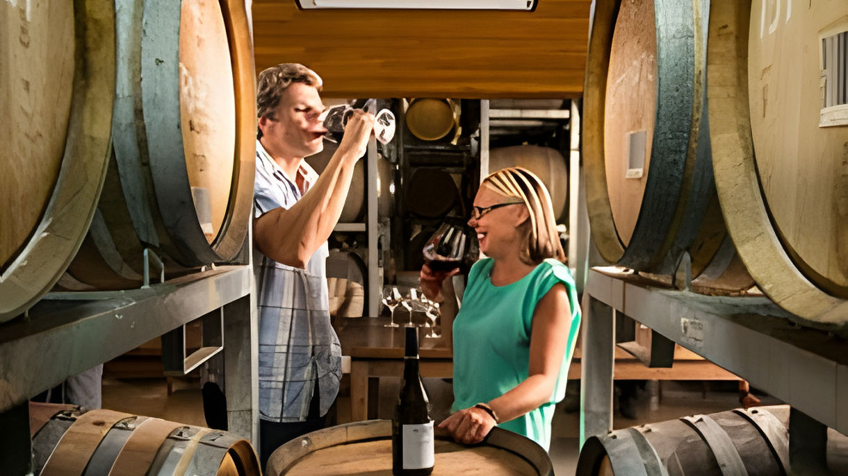 The Wines of Marlborough