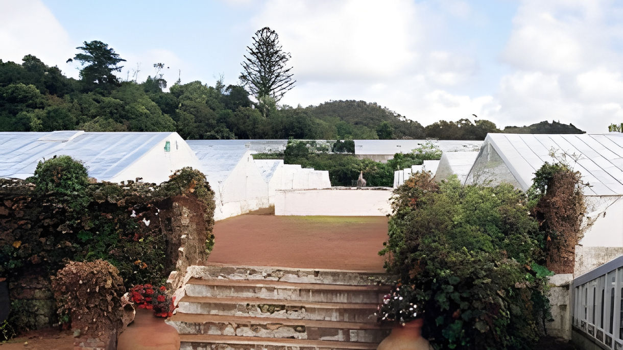 Ribeira Grande & Pineapple Greenhouse