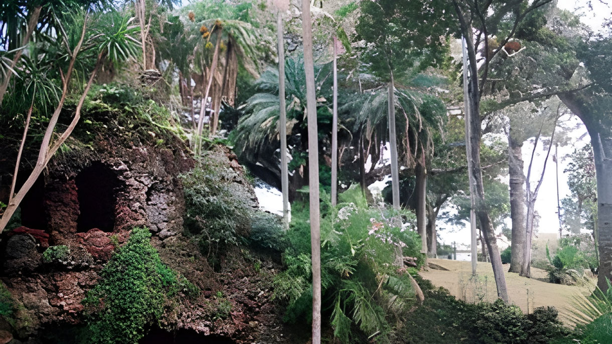 Crater Lakes, Gardens & Pineapple Greenhouse