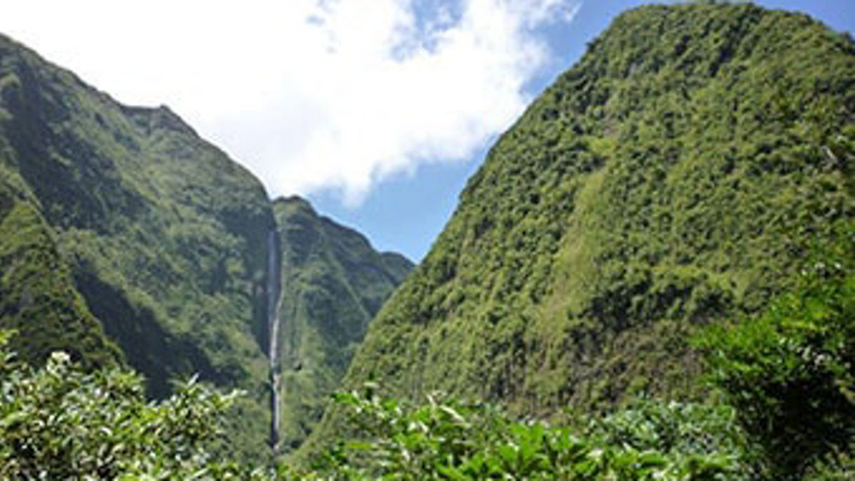 Salazie, Vanilla Plantation & Bride's Veil Falls