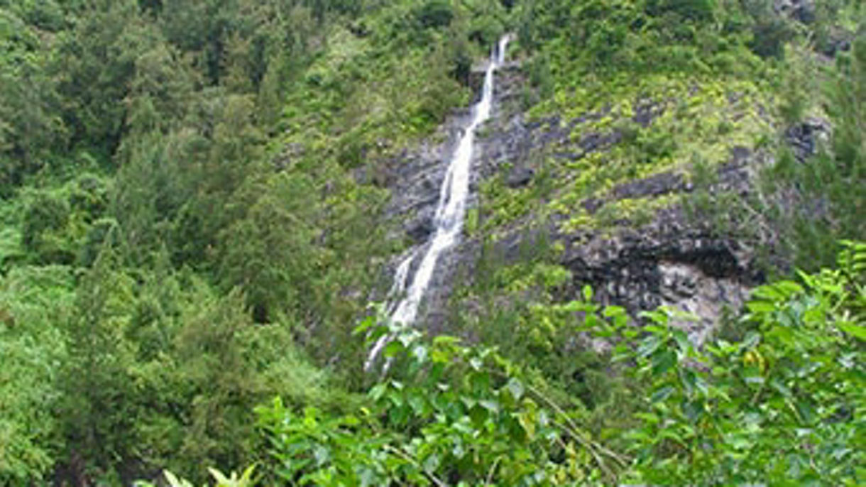 Vanilla Plantation & Scenic Drive