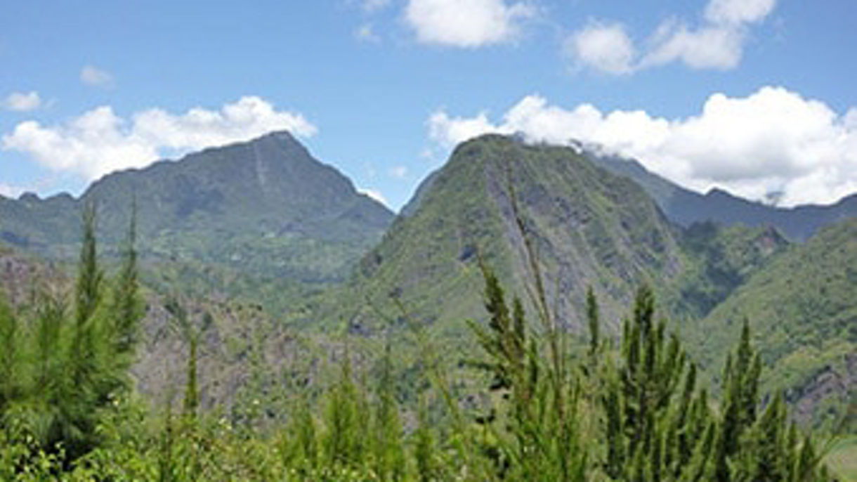 Vanilla Plantation & Scenic Drive