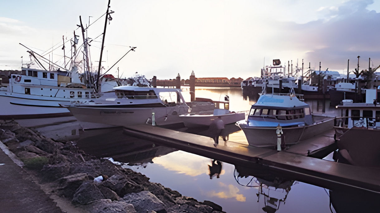 Port Lincoln Seafood Story