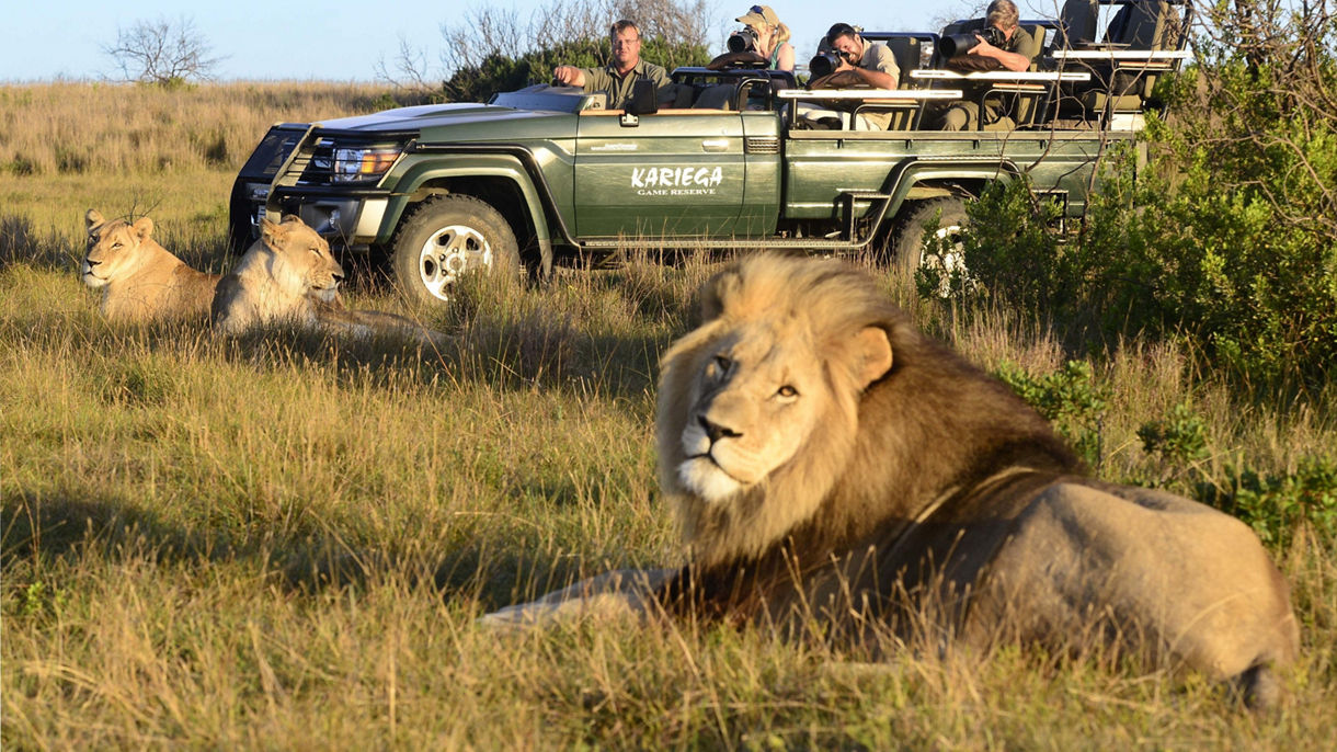 Kariega Private Game Reserve Safari