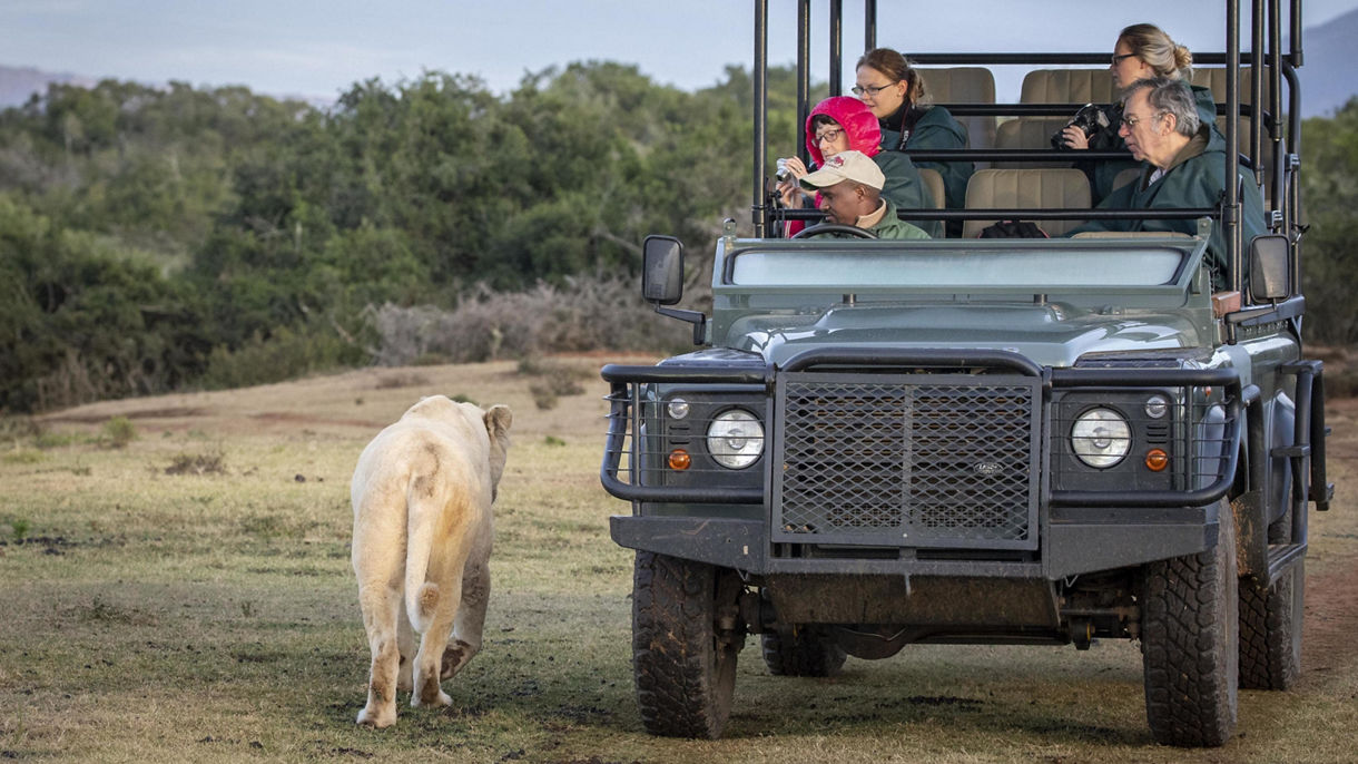 Pumba Private Game Reserve