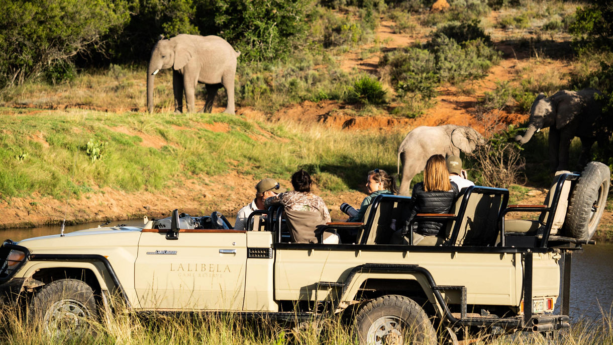 Lalibela Game Reserve Safari