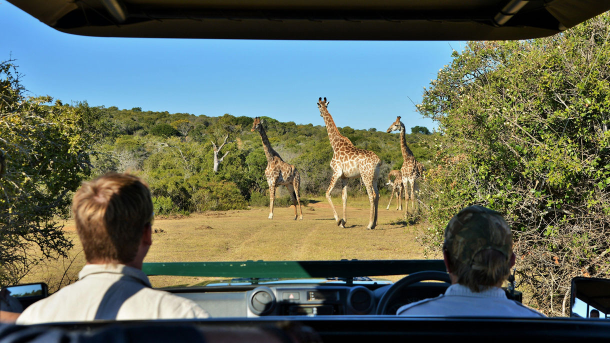 Sibuya Game Reserve