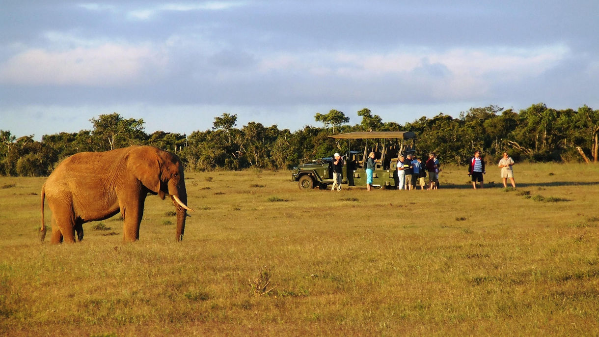 Schotia Game Reserve