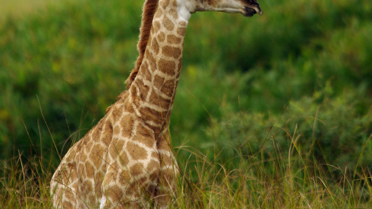 Kragga Kamma Reserve