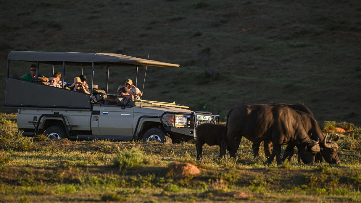 Bellevue Forest Game Reserve