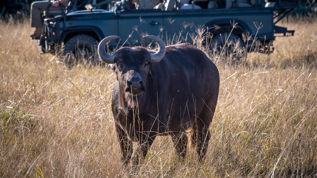Bellevue Forest Game Reserve