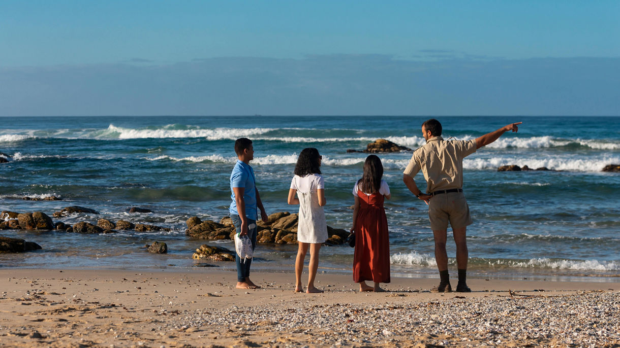 Cape Recife Marine Reserve & Coastline by 4x4