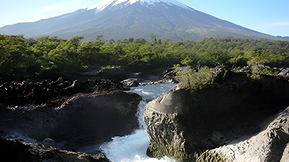 Best of Puerto Montt  (Guided in German)