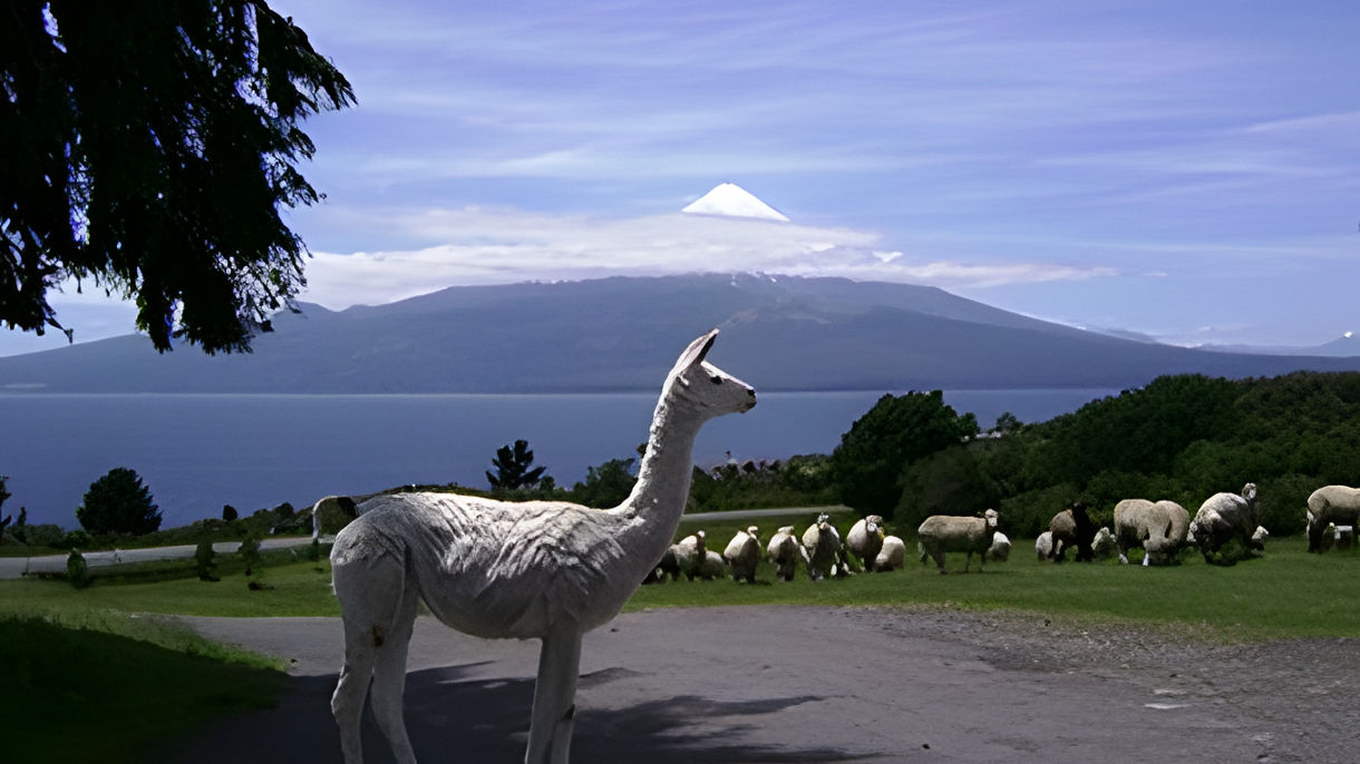 Lake Esmeralda, Petrohue River & Puerto Varas