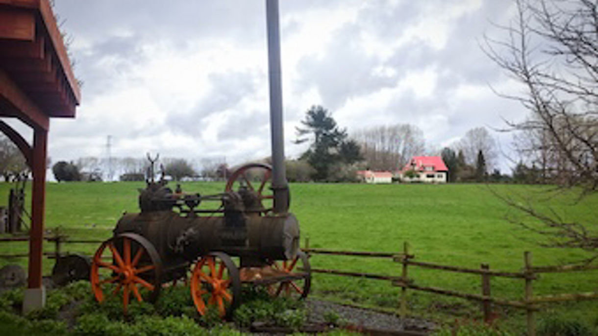 Alerce Forest Eco-Walk & German Museum