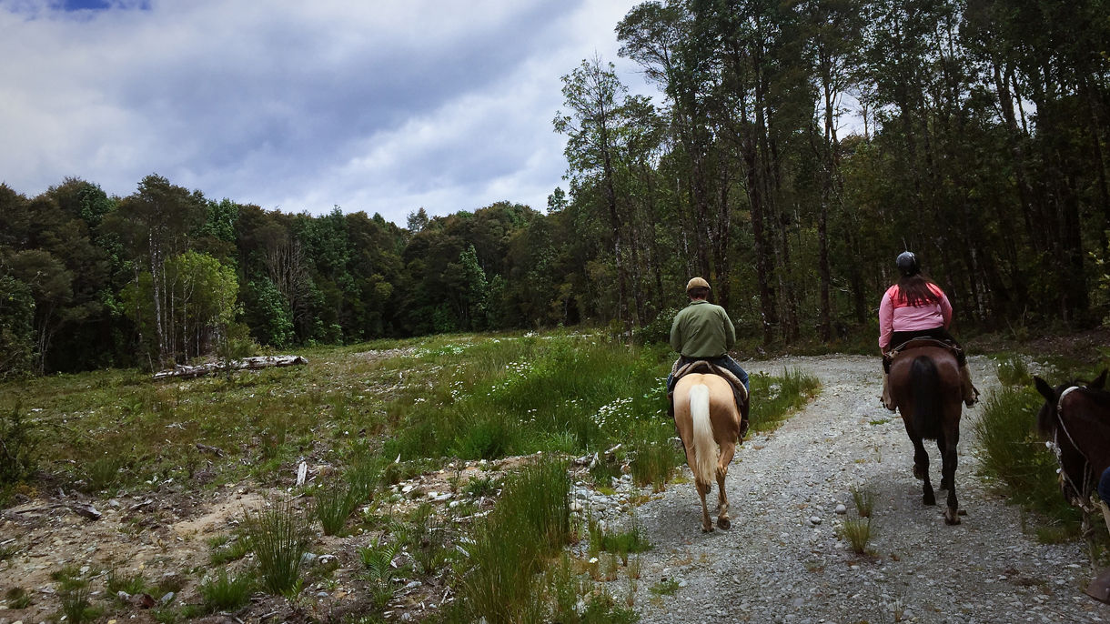 Horseback Riding Adventure