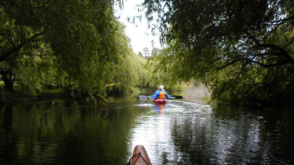 Escondida Lagoon Kayak Adventure