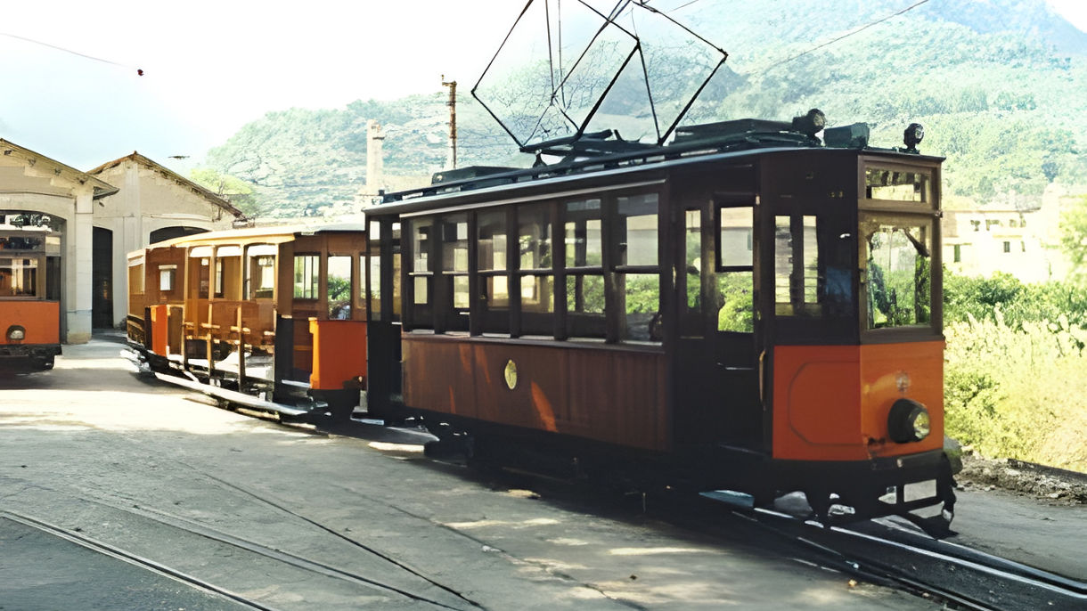 Vintage Train, Ancient Oil Mill & Tasting