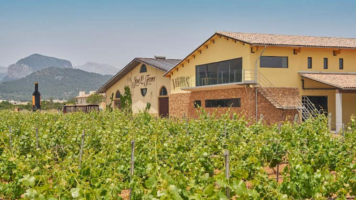 Mallorca Wine Tasting