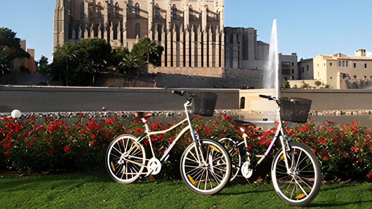 Palma by Bicycle
