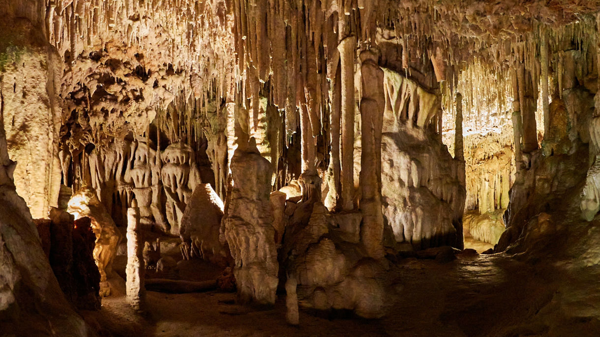 Cuevas dels Hams and Dinosauroland Experience for Families