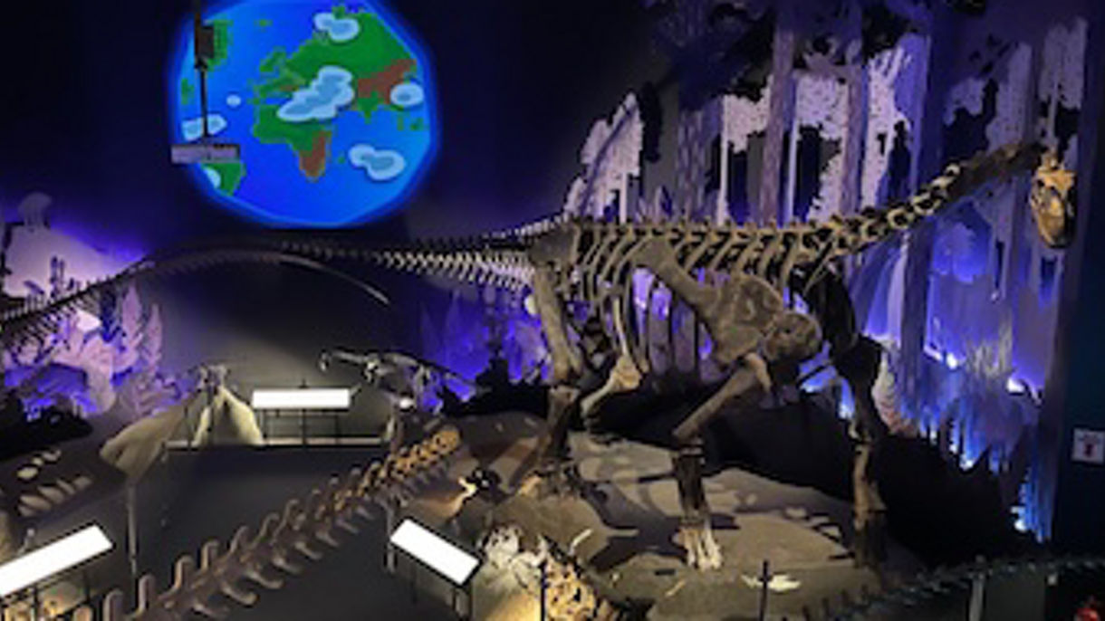 Paleontology Museum & Punta Loma
