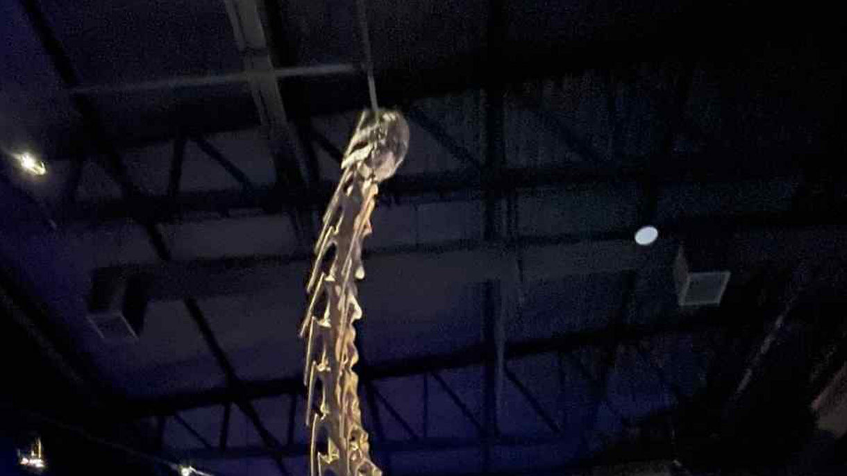 Paleontology Museum & Punta Loma