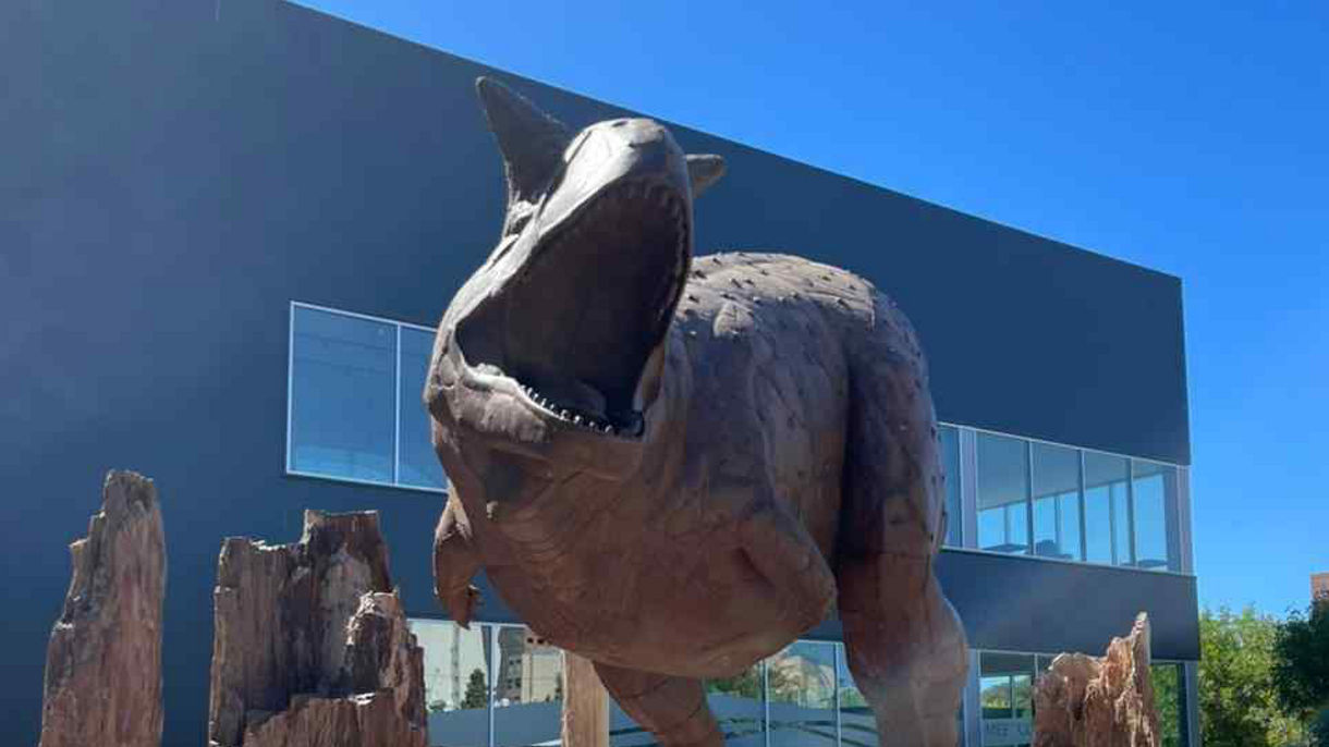 Paleontology Museum & Punta Loma