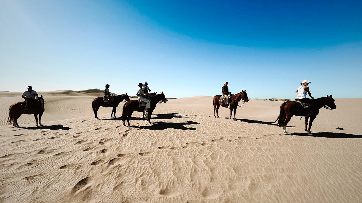 Horseback Adventure in Puerto Piramides