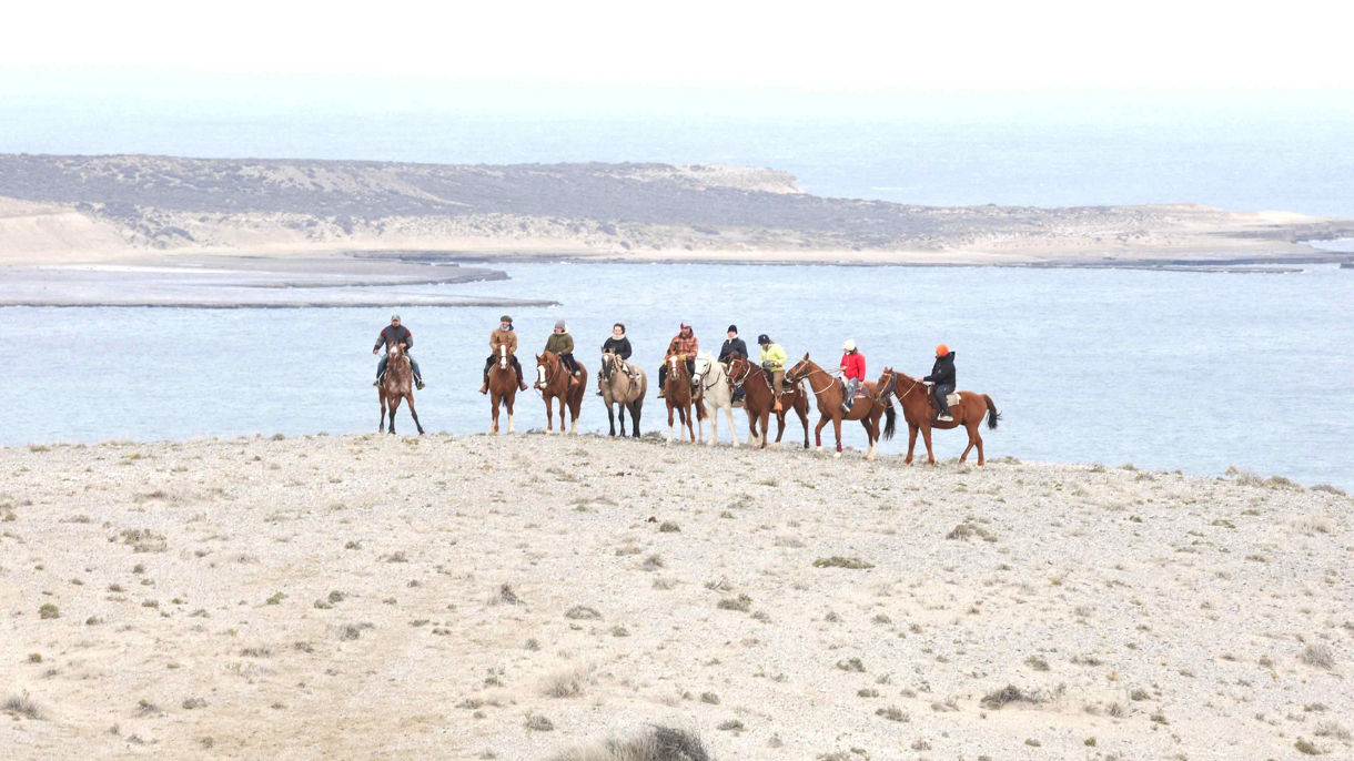 Horseback Adventure in Puerto Piramides