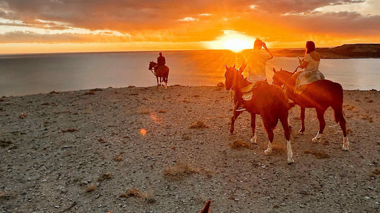 Horseback Adventure in Puerto Piramides