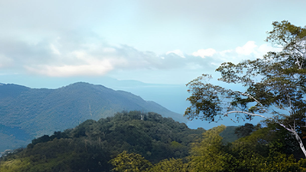 Trinidad 4X4 Adventure