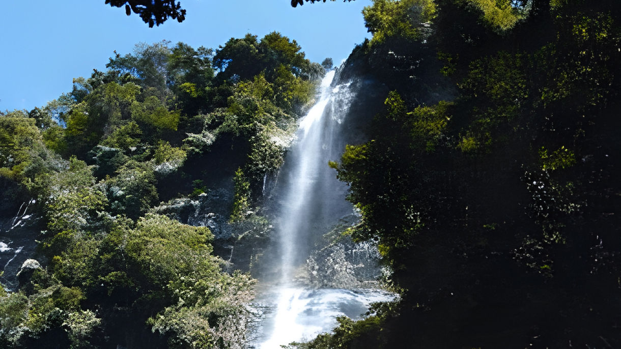 Maracas Waterfall Hike