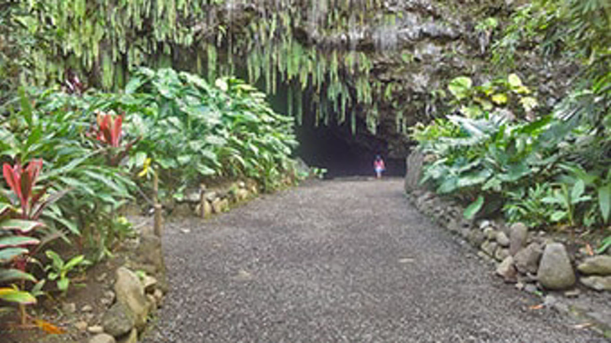 Local Connections: Undiscovered Tahiti