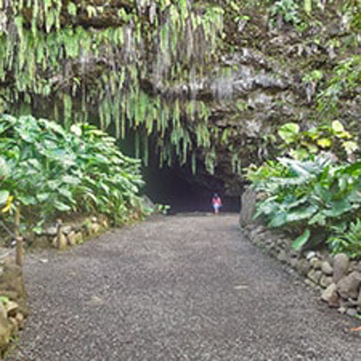 Local Connections: Undiscovered Tahiti