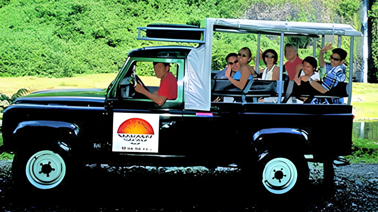 Papenoo Valley & Waterfall by 4WD