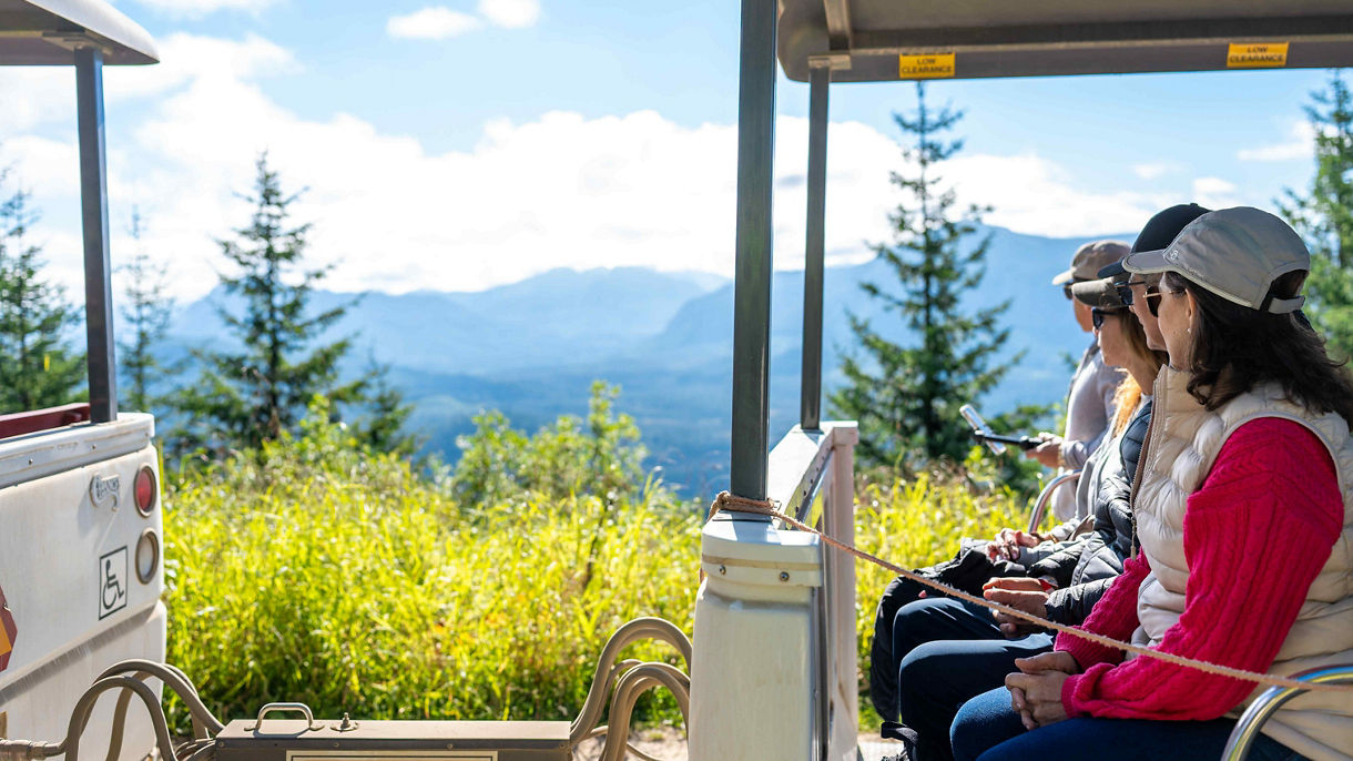 SkyPeak Gondola & Mountaintop Forest Excursion