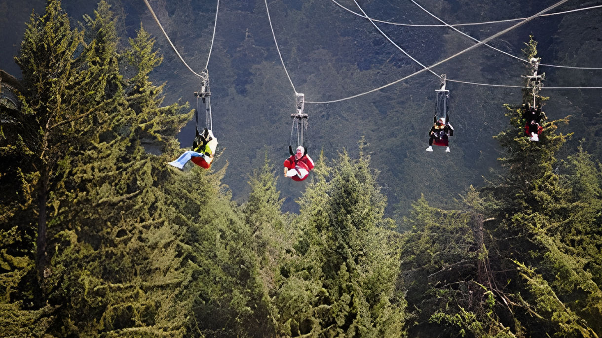 ZipRider Adventure & SkyPeak Gondola
