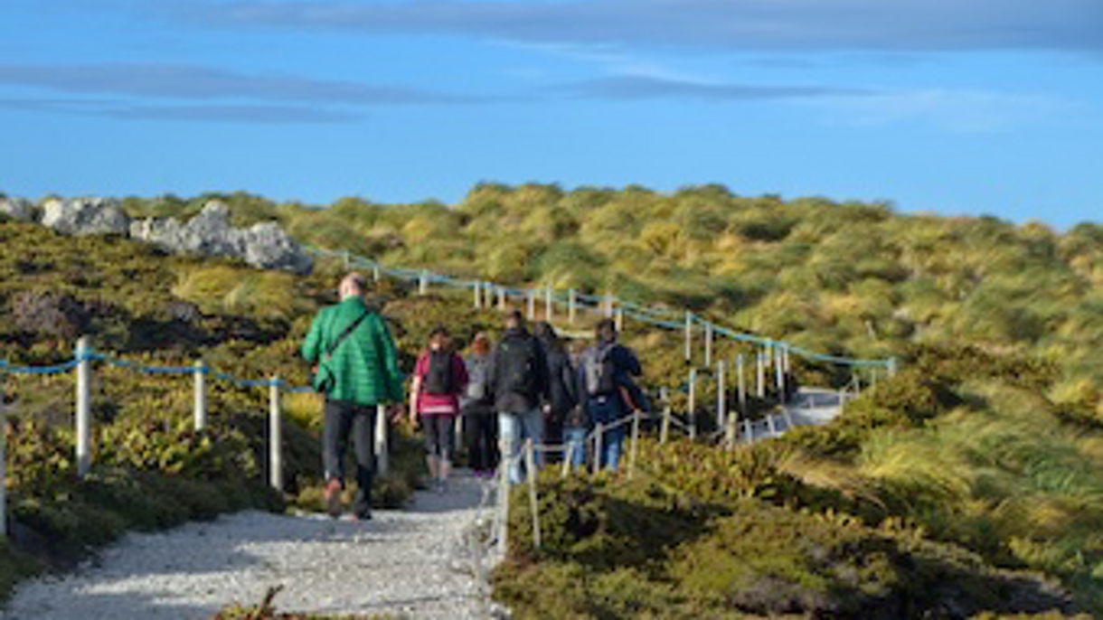 Falklands Nature Trek