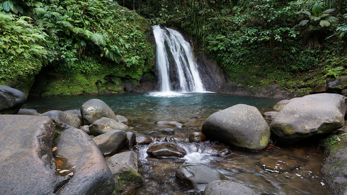 Best of Pointe-a-Pitre: Highlights of Guadeloupe