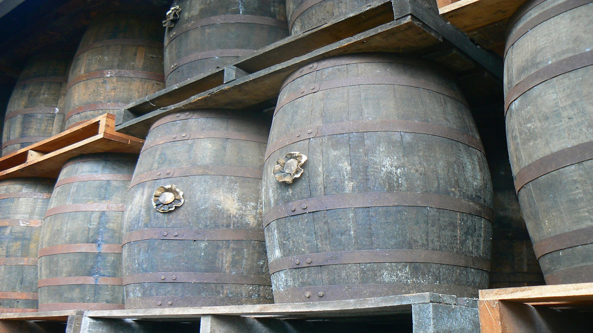 Botanic Garden & Montebello Rum Distillery