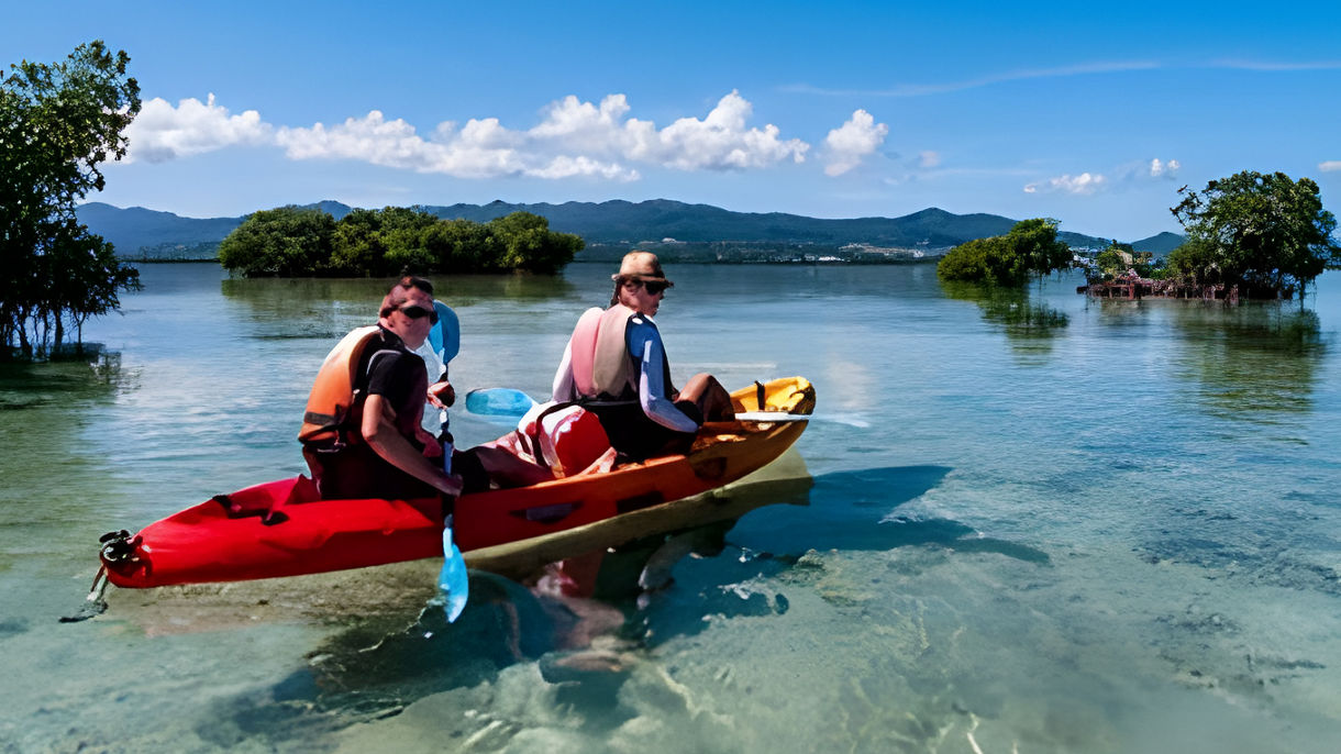 Kayaking Through the Mangroves