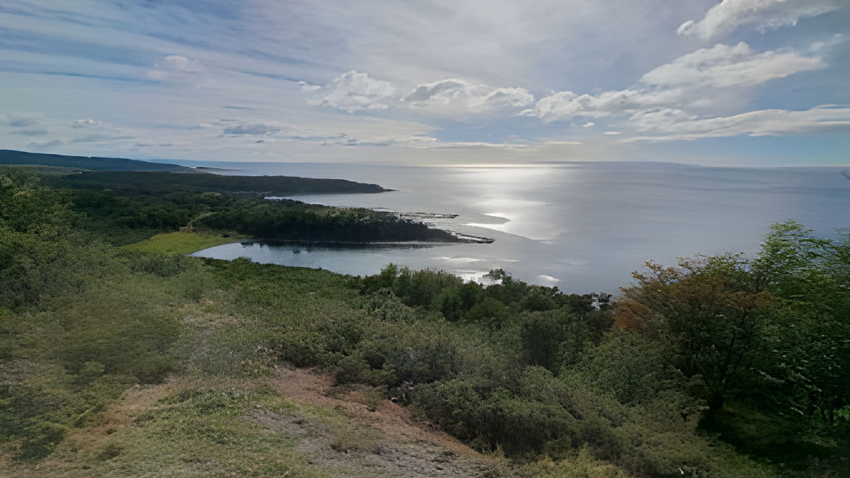 Hike at Magellan Strait Park