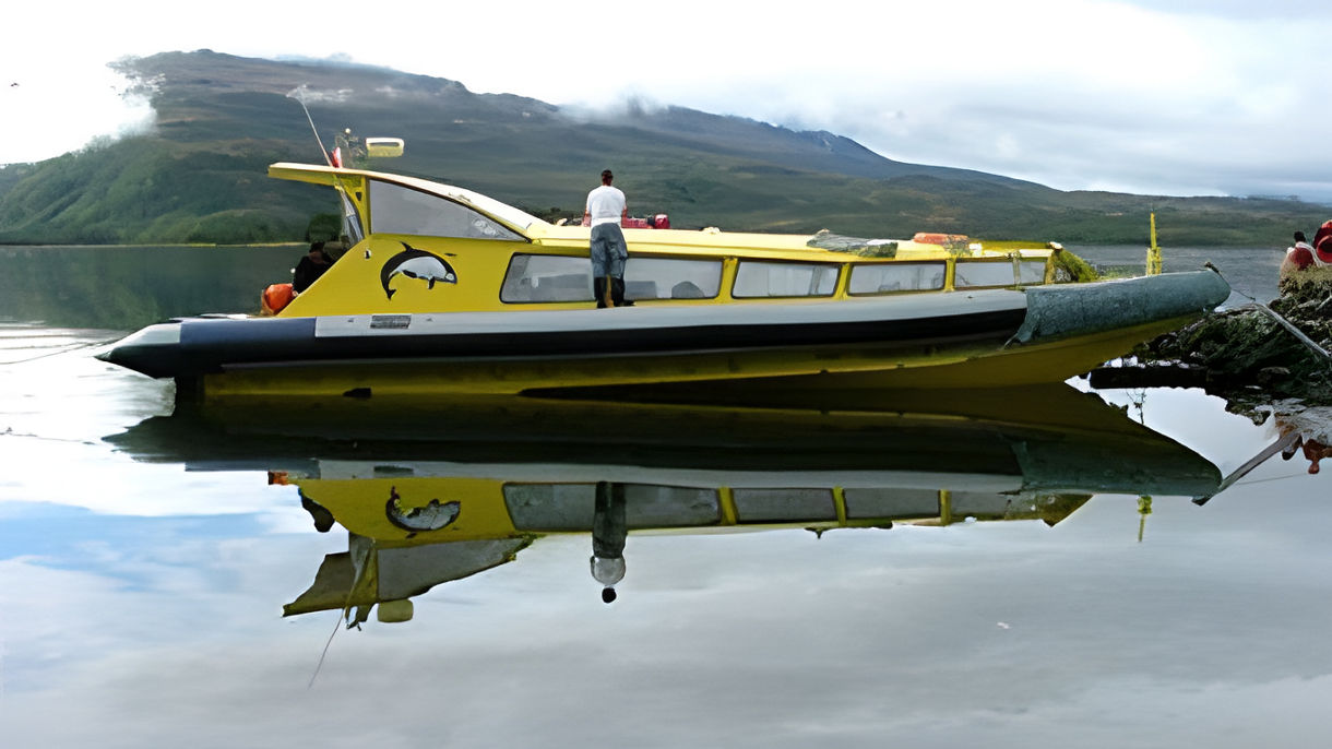 Magdalena Island Penguin Reserve by Speedboat