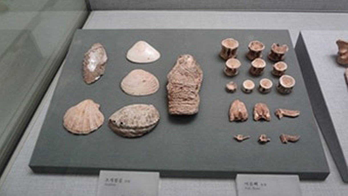 U.N. Cemetery & Busan Museum