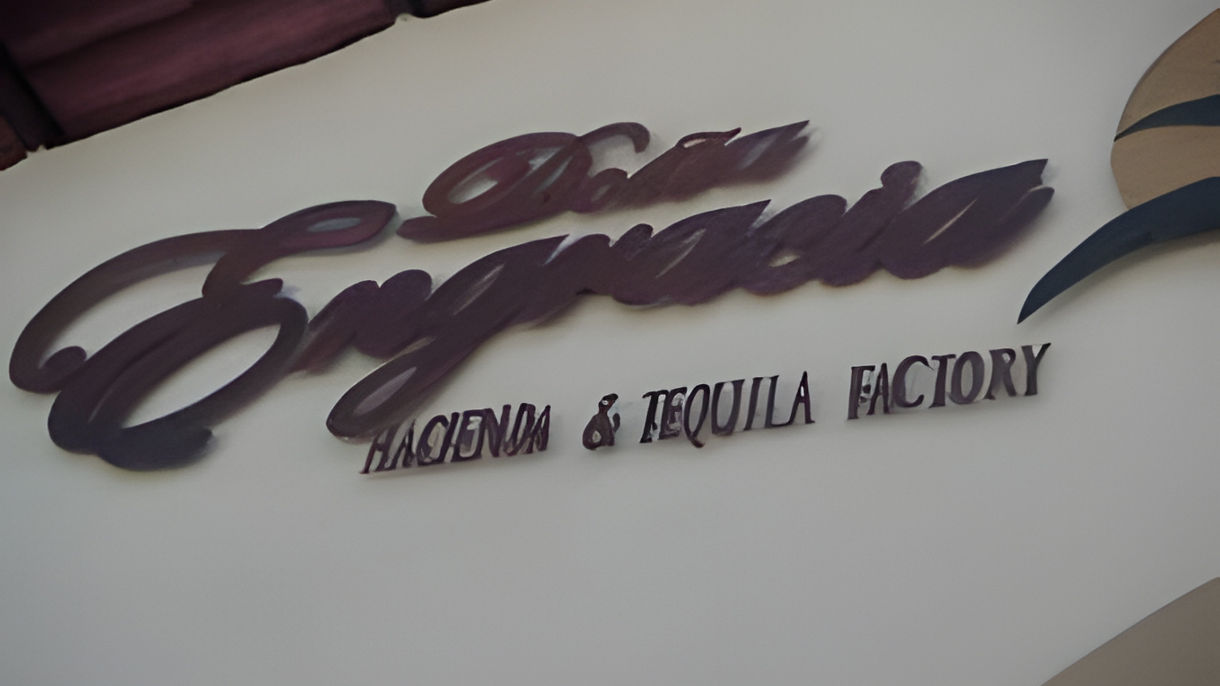 City Walk, Tequila Factory & Lunch