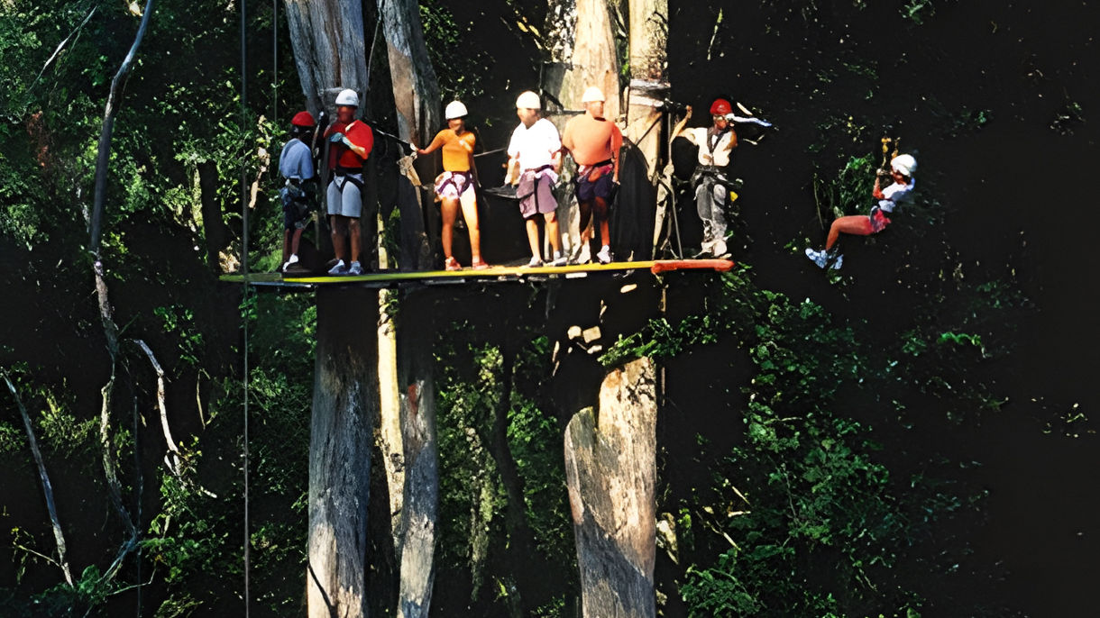 Jungle Zipline & Rappelling